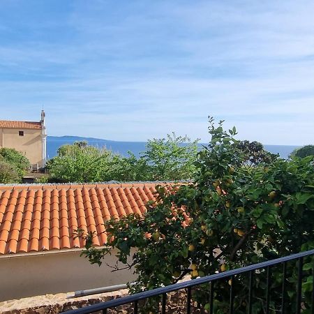 Appartement Au Centre Du Village Cargèse Eksteriør billede